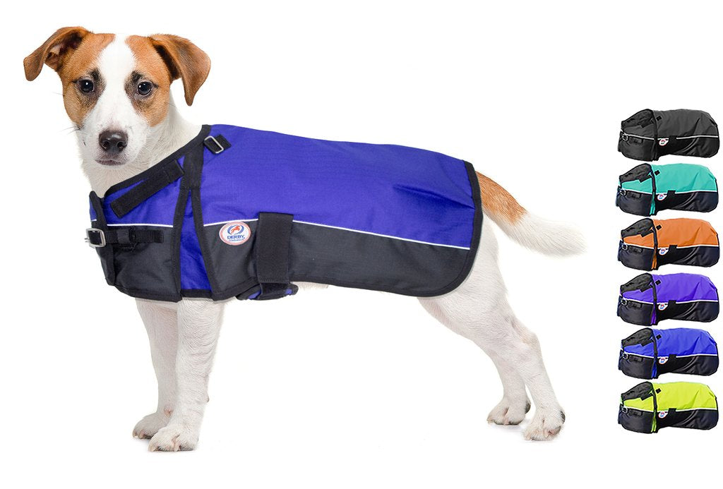 Royal Blue Adjust-to-Fit Dog Blanket/Jacket/Coat - Derby - Personalized/Monogrammed